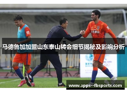 马德鲁加加盟山东泰山转会细节揭秘及影响分析